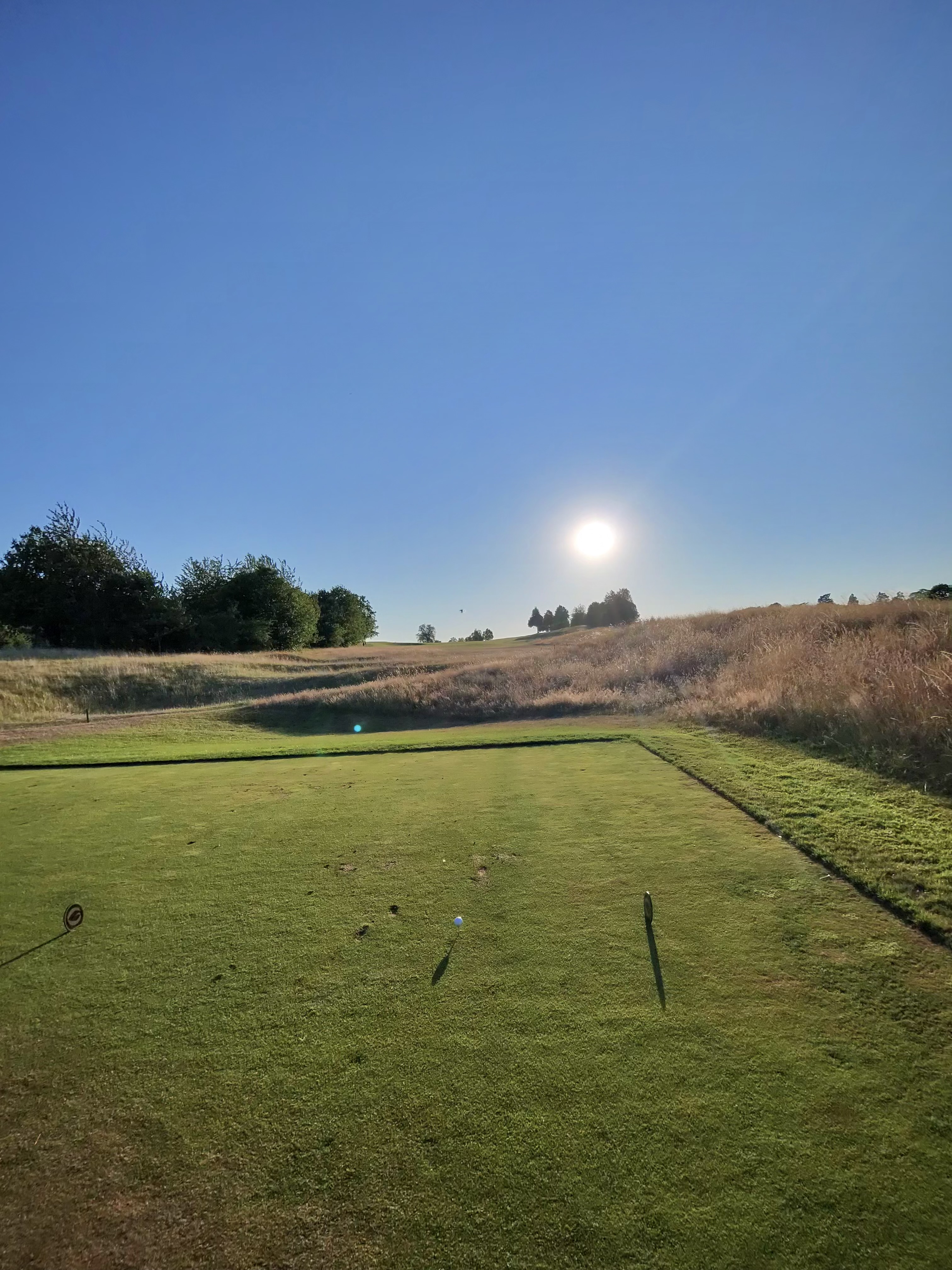 The Grove at golden hour, long shadows stretching across the tee